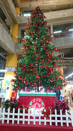 クリスマスツリー.jpg